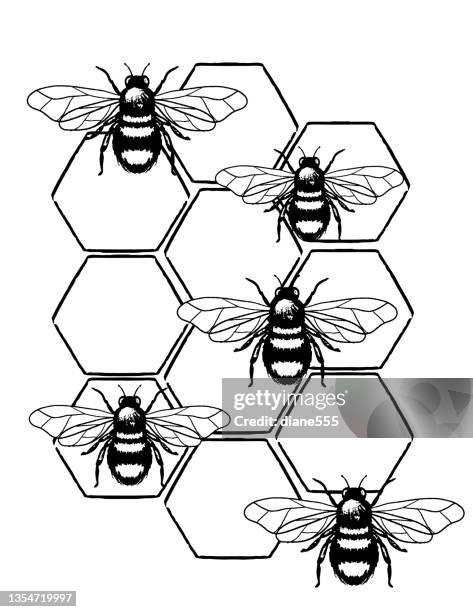 beehive and bees - bumblebee hive stock illustrations