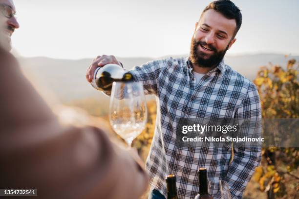 happy wine tourists tasting wine in vineyard - sommelier stock pictures, royalty-free photos & images