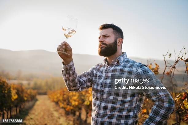 owner tasting wine - artisanal stock pictures, royalty-free photos & images