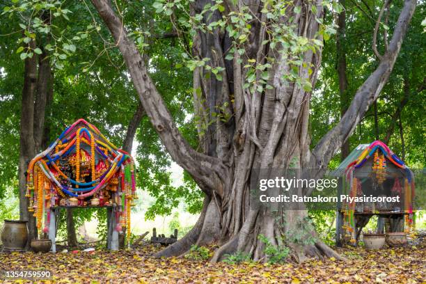 spirit house, little shrine with colorful garland worship call house of boss, u thong subdistrict, u thong district, suphan buri province - animism stockfoto's en -beelden