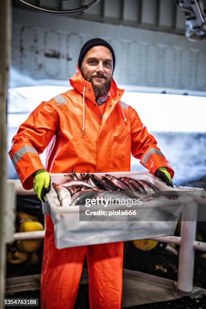 pescatore con scatola di pesce fresco sul ponte della barca da pesca - aringa foto e immagini stock