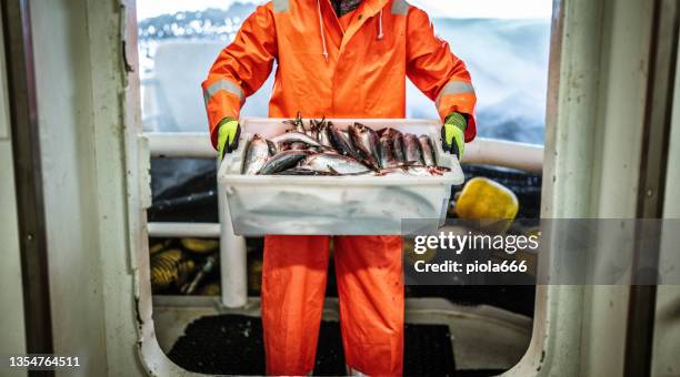 fischerei: fischer mit einer kiste mit frischem fisch - fisherman stock-fotos und bilder