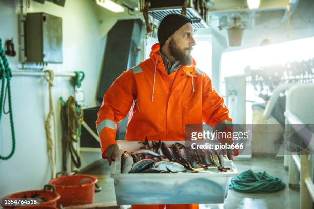 industrie de la pêche : pêcheur transportant une boîte de poisson frais - pêcheur photos et images de collection
