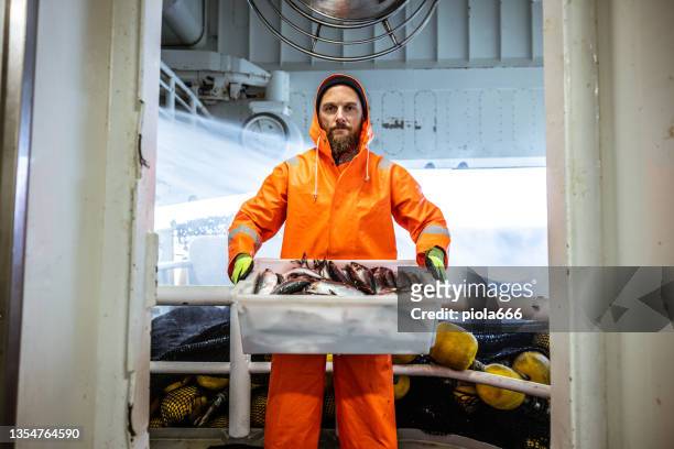 fisherman with fresh fish box on a trawler - fisherman stock pictures, royalty-free photos & images