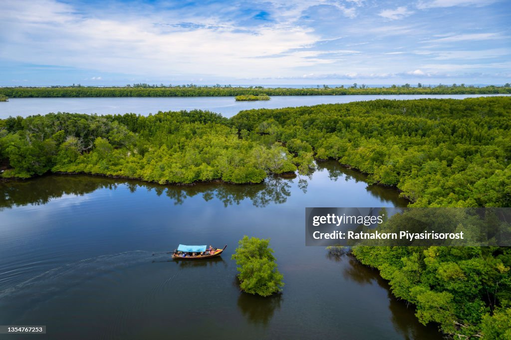 Aerial view of long tail boat moving on canal in the mangrove forest, Phang nga Bay, Phang-nga, Thailand