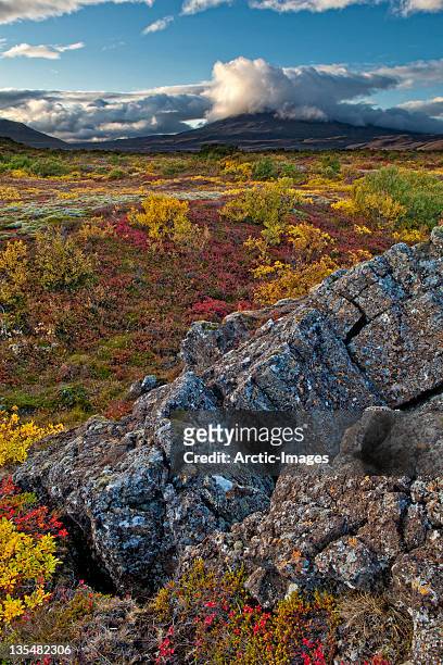 lava rock and colorful landscape - thingvellir stock pictures, royalty-free photos & images