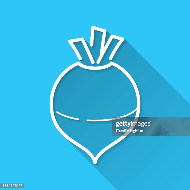 rutabaga. icon on blue background - flat design with long shadow - beetroot cut out stock illustrations