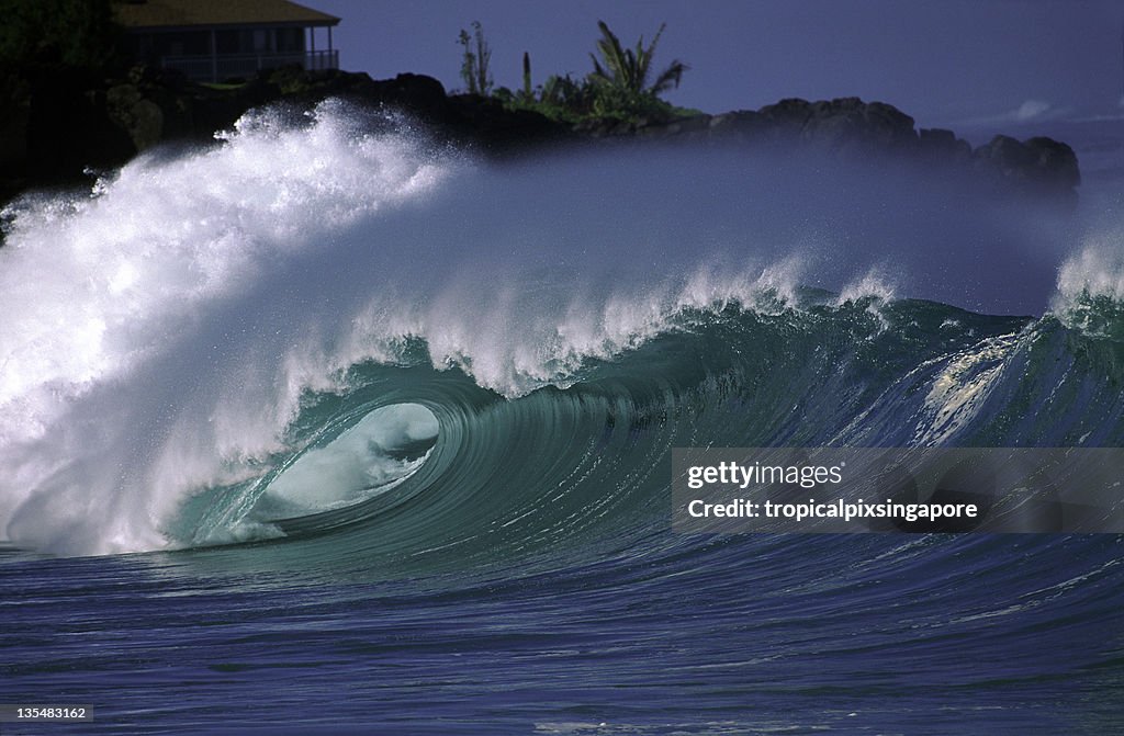 USA Hawaii O'ahu, North Shore, Waimea Bay.