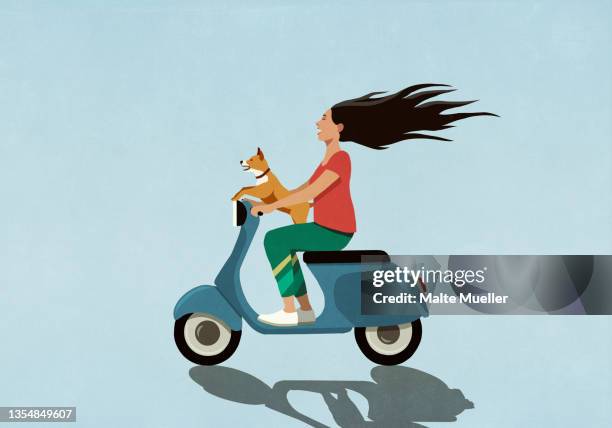 carefree woman with dog driving motor scooter - motorbike stock illustrations