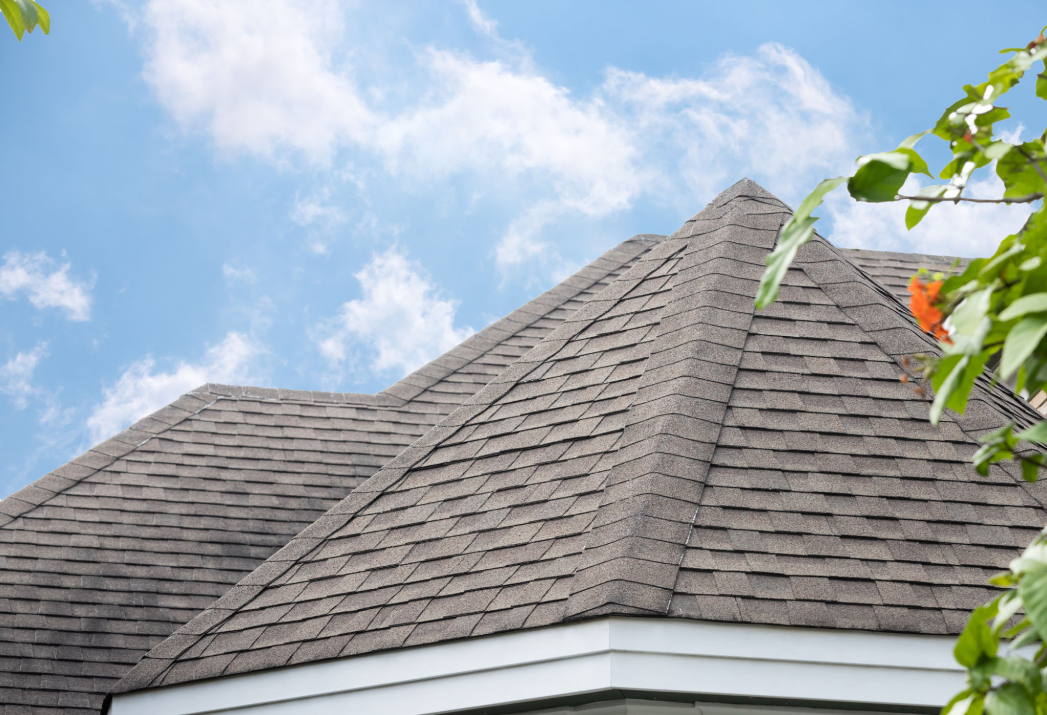 unique roof design