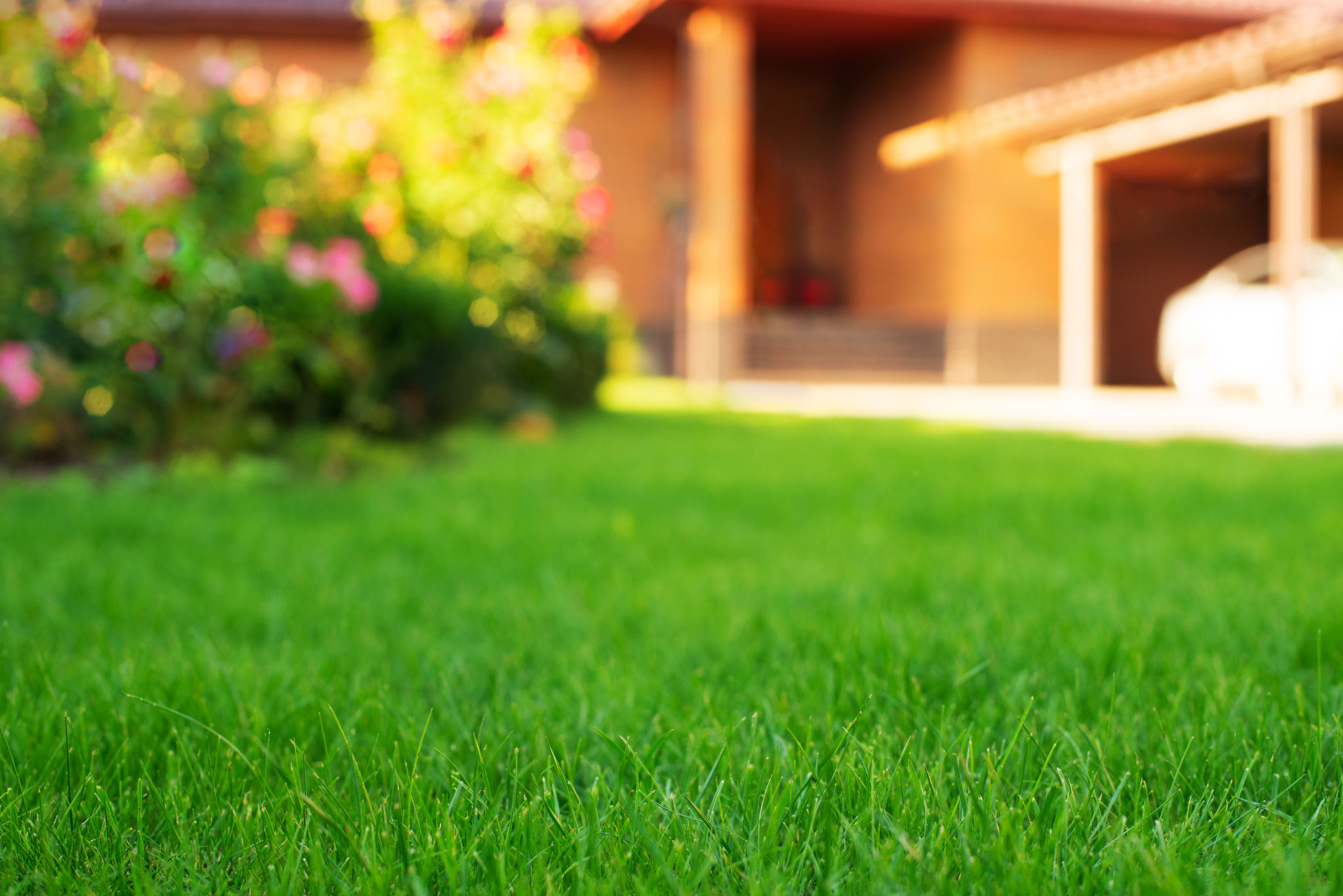 spring lawn