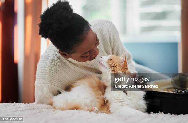 aufnahme einer schönen jungen frau, die zu hause liebevoll mit ihrer katze umgeht - feline stock-fotos und bilder