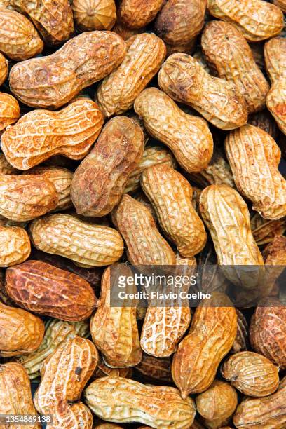 roasted peanuts in shell - peanut stock pictures, royalty-free photos & images