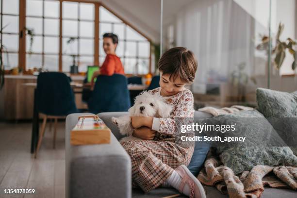 little girl playing with puppy - dog indoors stock pictures, royalty-free photos & images