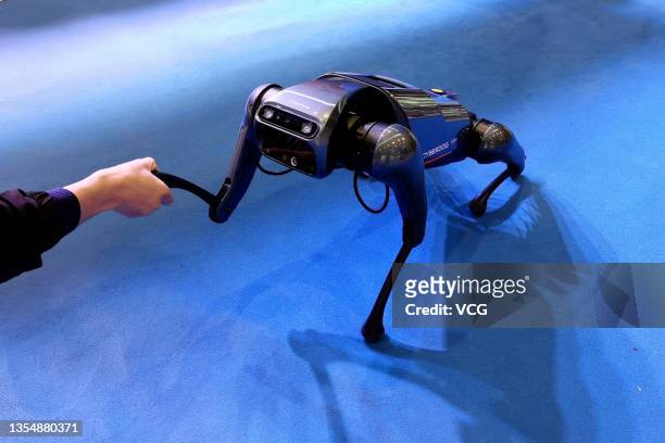 Visitor interacts with a Xiaomi quadruped robot 'CyberDog' during the 2021 China 5G+ Industrial Internet Conference on November 21, 2021 in Wuhan,...