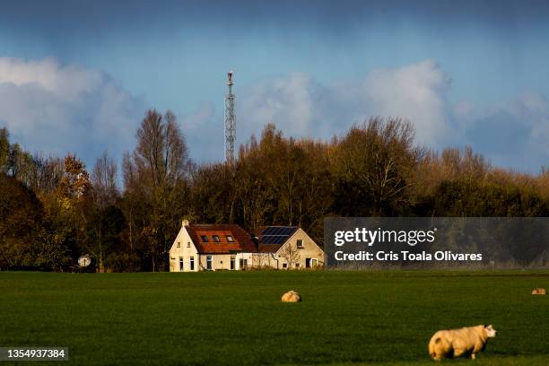 House stands near the natural gas extraction plant on November 22, 2021 in Groningen, Netherlands. A recent earthquake was felt in the city of...