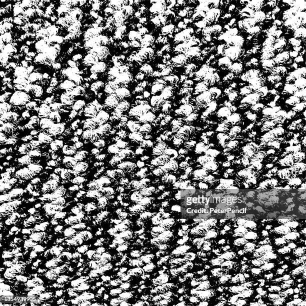 carpet covering. grunge texture. black dusty scratchy pattern. abstract grainy background. vector design artwork. textured effect. crack. - dirty carpet stock illustrations