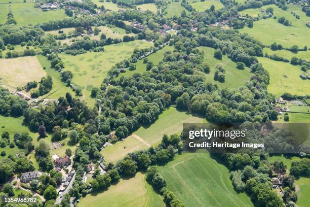 Wild gardens to Warley Place which were developed 1890s-1935 by Ellen Willmott, Essex, 2018. After a period of neglect the gardens have been subject...