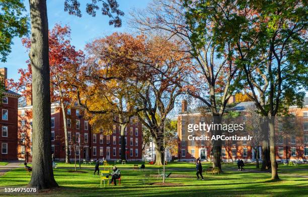 harvard yard of harvard univeristy campus - cambridge massachusetts - boston massachusetts fall stock pictures, royalty-free photos & images