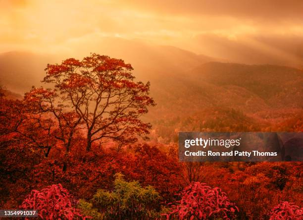 great smoky mountains np, tn - great smoky mountains national park stock-fotos und bilder