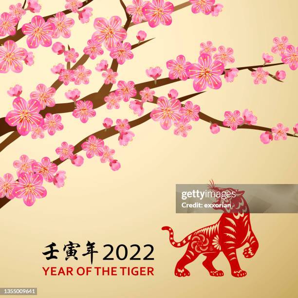 ilustraciones, imágenes clip art, dibujos animados e iconos de stock de flor de ciruelo del año del tigre - cherry tree