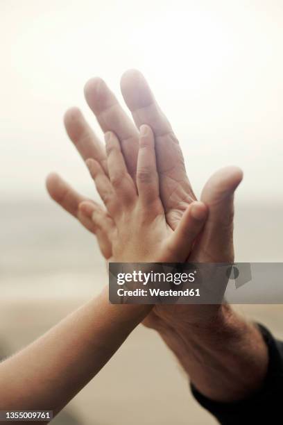 girl doing high-five with grandfather - teenager alter stock-fotos und bilder