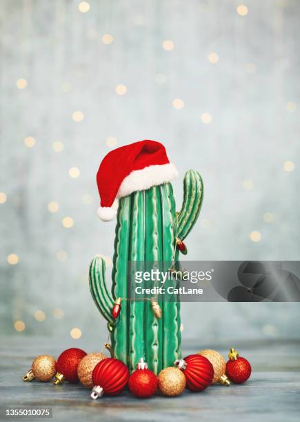 cactus wearing a santa hat and wrapped in christmas decorations with red and gold christmas ornaments - unexpected stock pictures, royalty-free photos & images
