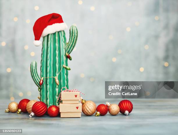 cactus portant un chapeau de père noël et une lumière de noël avec des ornements de noël rouges et dorés et une pile de cadeaux - sapin de noel humour photos et images de collection