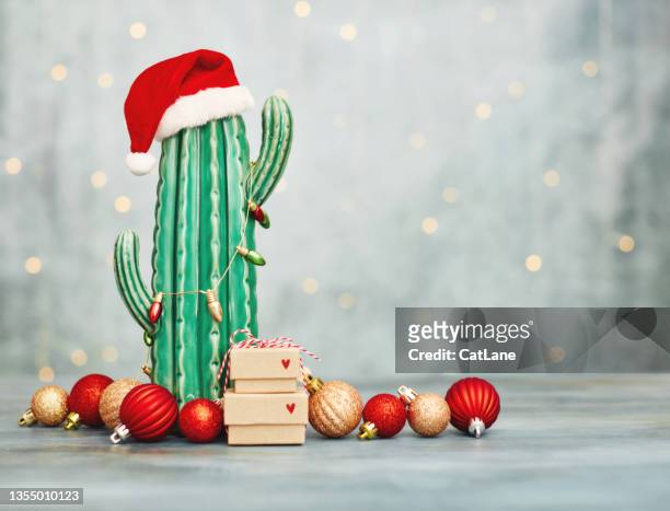 cactus wearing santa hat and christmas light with red and gold christmas ornaments and gift stack - funny christmas gift stockfoto's en -beelden