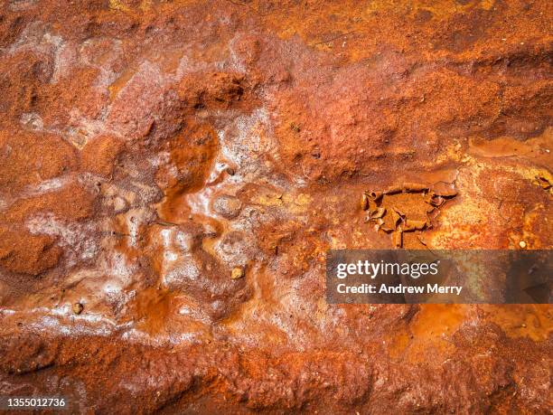 abstract desert pattern aerial effect, dried mud orange red dirt, australia - rustic plate overhead photos et images de collection