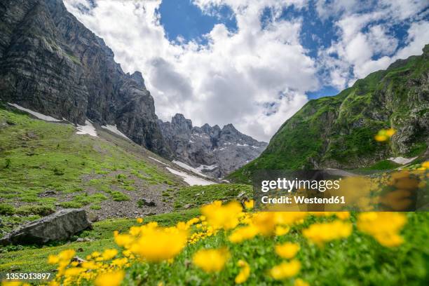 334 Alpes Carniques Stock Photos, HighRes Pictures, and Images Getty