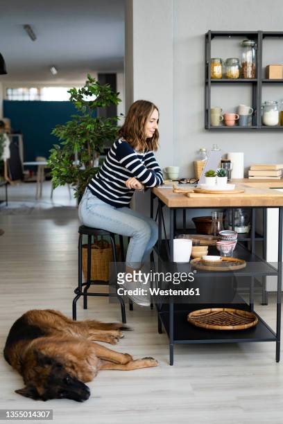 young woman in front of laptop by german shepherd at home - german shepherd sitting stock pictures, royalty-free photos & images