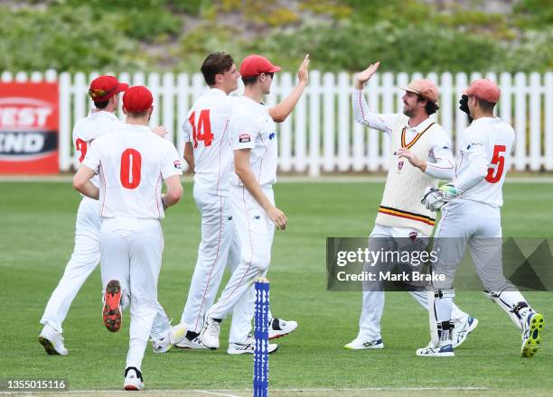 David Grant of the Redbacks celebrates the wicket of Joe Burns of the Queensland Bulls during day one of the Sheffield Shield match between South...