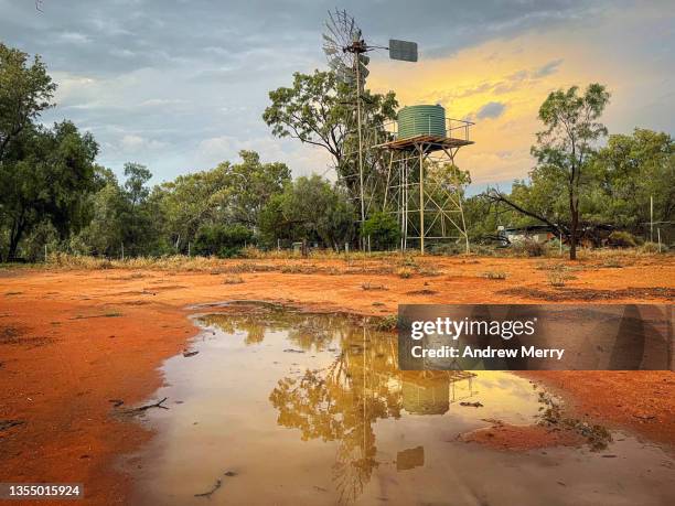 farm windmill reflected in puddle on water on red earth australia - outback windmill bildbanksfoton och bilder