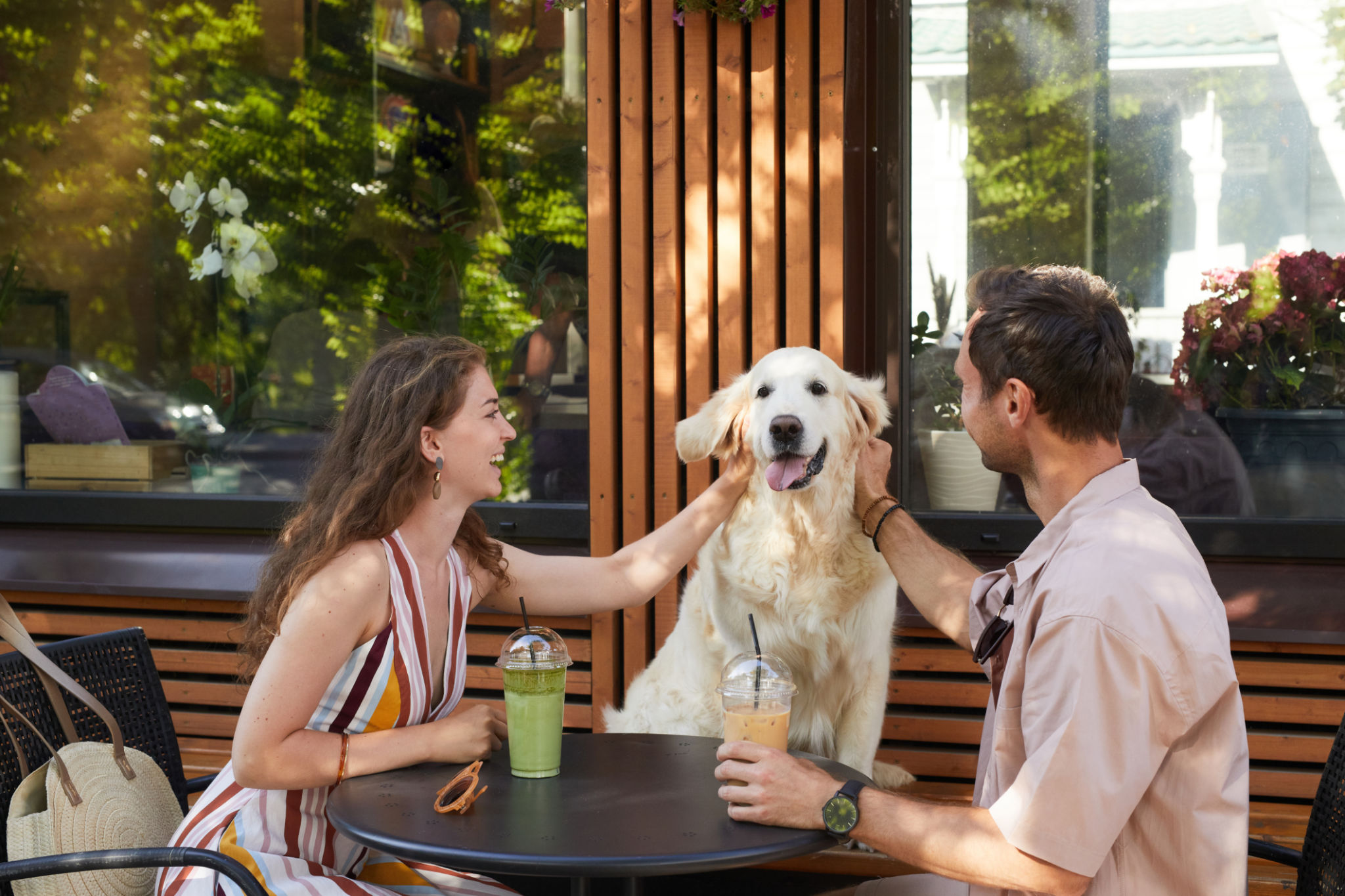 pet friendly cafe