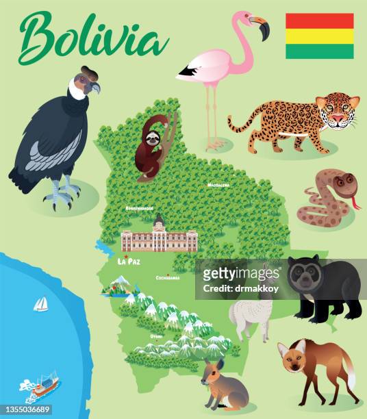 bolivia map - la paz region stock illustrations