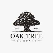 Vintage tree of life Logo, old big oak tree logo vector on white background