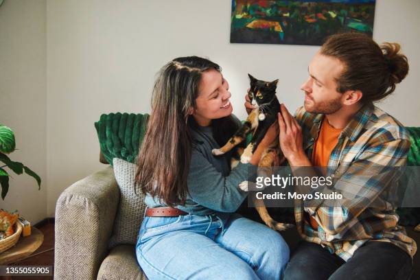 cropped shot of an affectionate young couple petting their cat while chilling in the living room at home - cat studio shot stock pictures, royalty-free photos & images