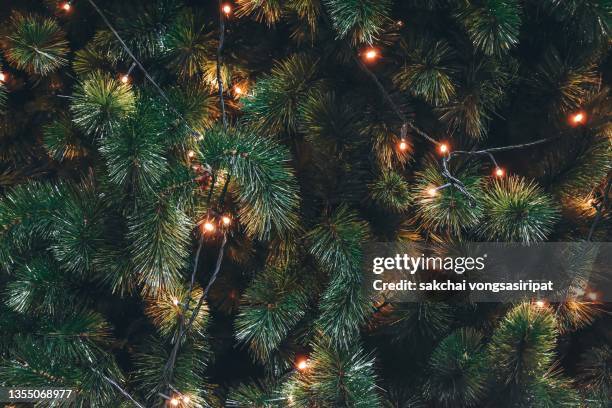 2,188 Christmas Tree Shadow Stock Photos, High-Res Pictures, and Images ...