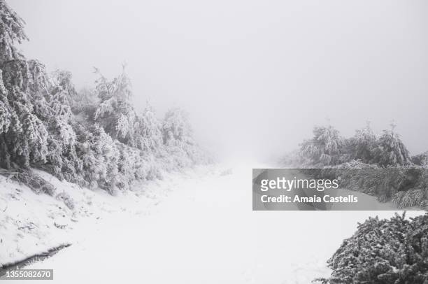 camino nevado en la sierra de madrid - madrid snow stock pictures, royalty-free photos & images