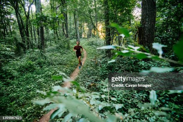 man jogging in forest along mountain to sea trail, asheville, north carolina, usa - asheville stock pictures, royalty-free photos & images