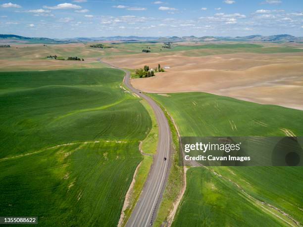 scenery with rolling hills and road, pullman, palouse, washington state, usa - pullman bildbanksfoton och bilder