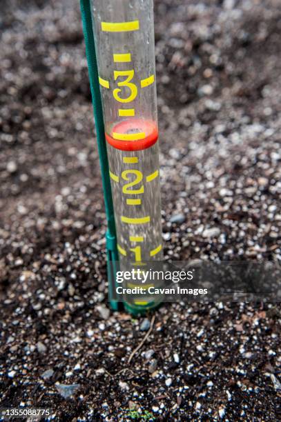 close-up of rain gauge in garden soil, halifax, novaa¬†scotia, canada - pluviômetro - fotografias e filmes do acervo