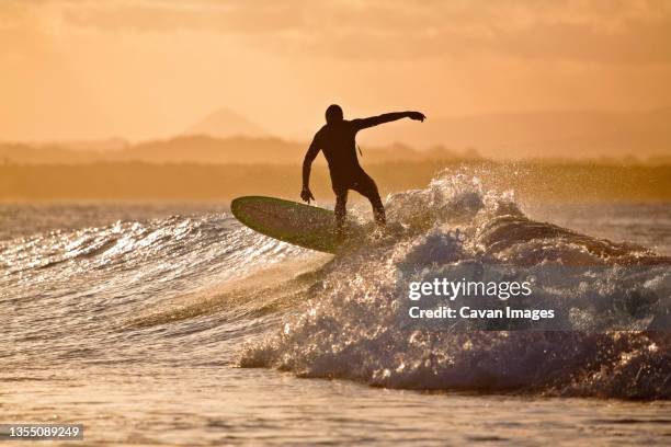 a surfer catches a wave at t-tree point, noosa heads, queensland, australia. - noosa heads stock pictures, royalty-free photos & images