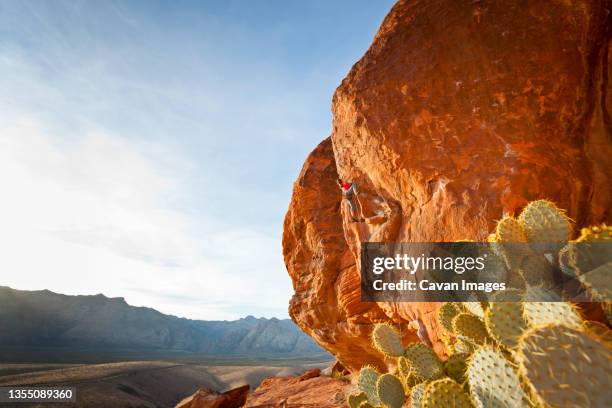 a rock climber in the calico hills, red rock canyon national conservation area, nevada, usa. - nevada hiking stock pictures, royalty-free photos & images