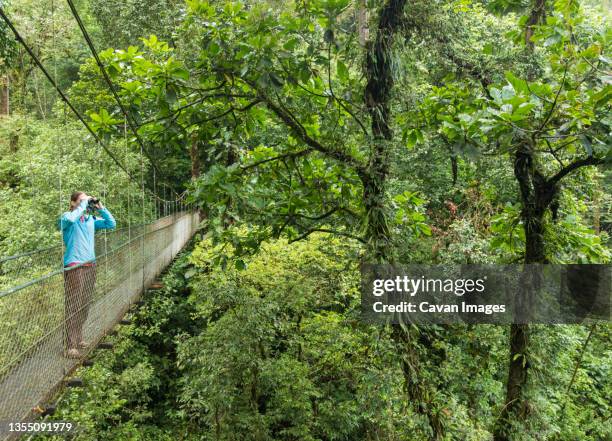 women on sky bridge looking for wildlife in costa rican cloud forest - monteverde stock pictures, royalty-free photos & images