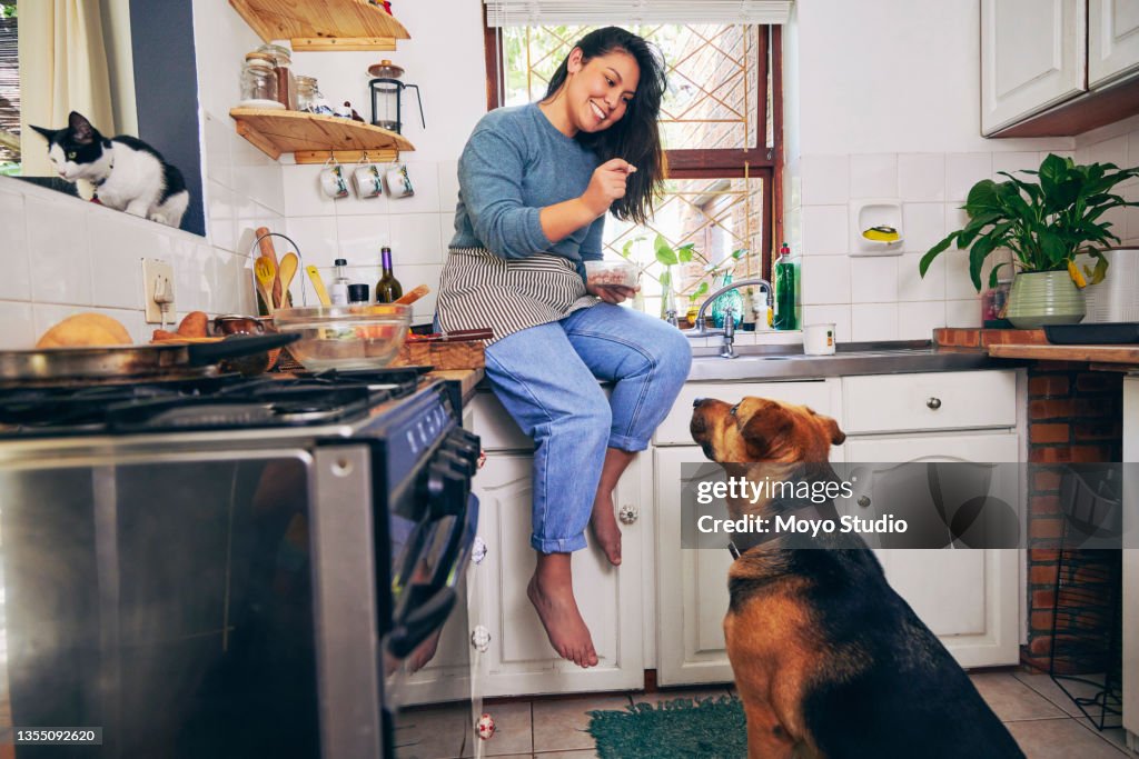 Scatto di una giovane donna che nutre il suo gatto mentre si prende una pausa dalla cucina