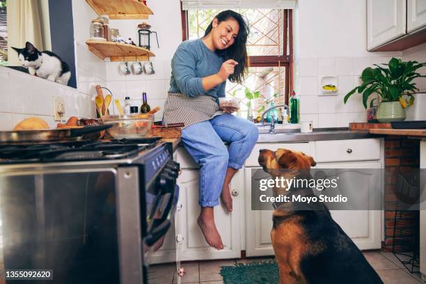 shot of a young woman feeding her cat while taking a break from cooking - south africa training stock pictures, royalty-free photos & images