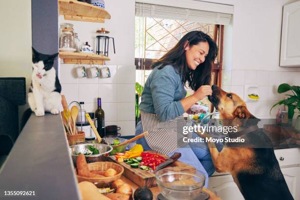 aufnahme einer jungen frau, die ihre katze füttert, während sie eine pause vom kochen einlegt - cat food stock-fotos und bilder