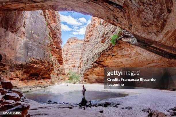 purnululu national park, western australia. tourist at cathedral gorge - ravine 個照片及圖片檔